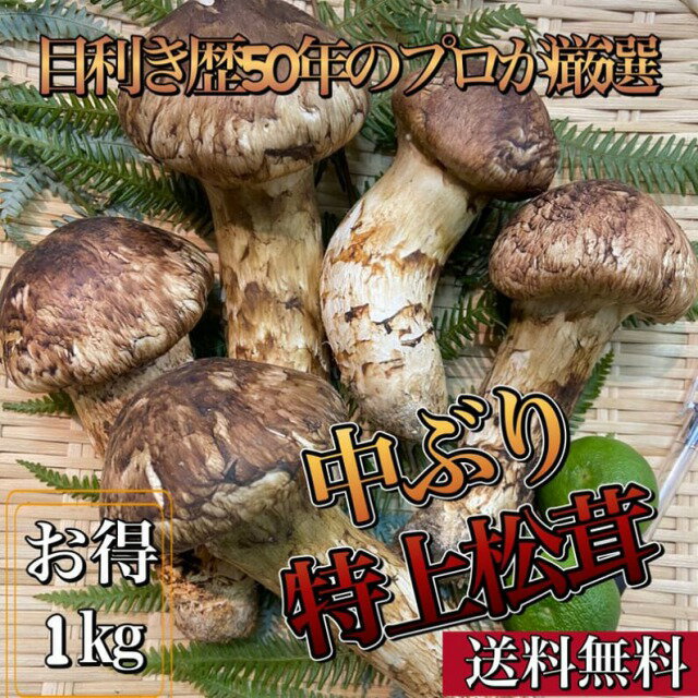 【今秋最高の味覚】中ぶり特上松茸　蕾（つぼみ）*中国産特上ランク*お得1kg(10〜15本)**すだち付き*焼き・鍋*送料無料（一部地域除く）※購入数は2つまで※*ギフト贈答品*お歳暮*御歳暮*新鮮まつたけ*お取り寄せ*誕生日*お祝い*御祝*感謝ギフト*今が旬