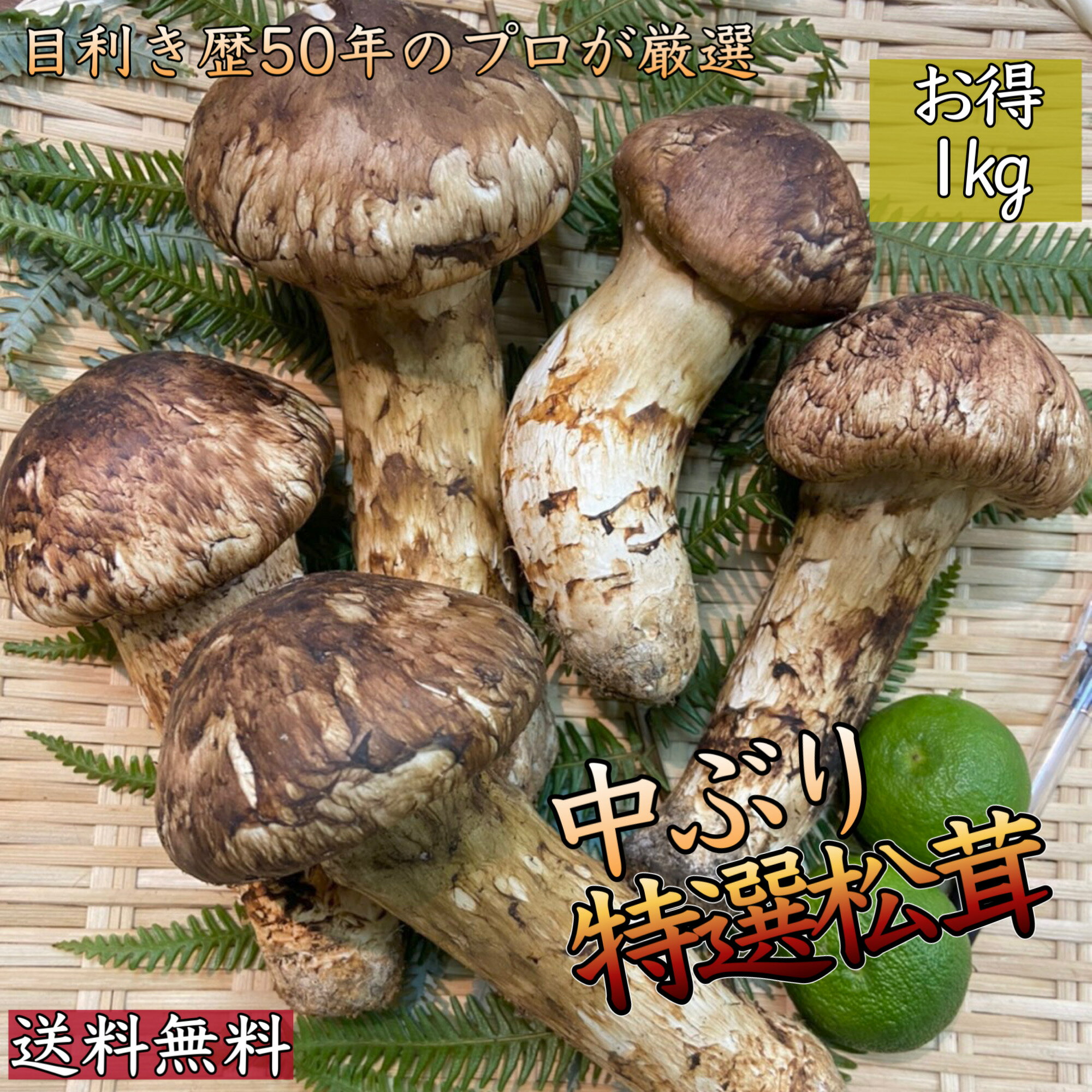 当店一押し！【今秋最高の味覚】中ぶり特上松茸*中つぼみ〜中開き*中国産特上ランク*お得1kg(7〜1 ...