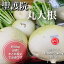 【冬季限定】京都産 聖護院丸大根 Mサイズ6個(葉付き1個あたり約1300〜1600g) 6個まとめてお得価格!※1個・3個まとめて販売の商品ページもございます※