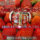 【厳選九州産・旬の人気いちご詰合せ】食べ比べセット　福岡県産あまおう*DX*・佐賀県産いちごさん*秀 ...