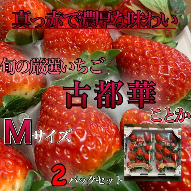 【旬の厳選いちご】奈良県産　古都華(ことか)*秀品*Mサイズ　*1箱2パック入り(1pcあたり約20粒)**画像はLサイズの写真です**イチゴ・赤いちご*冬ギフト*お祝い*御祝**母の日*誕生日*身体にも優しいギフト*贈答*無料包装のサムネイル