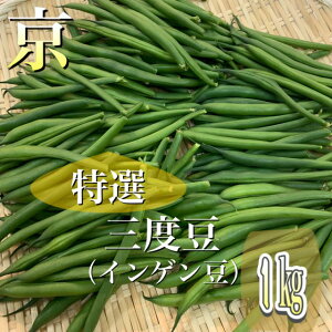 新着！【ほんまもん京野菜】本来の旬は今！京の三度豆（インゲン豆）京都府産**特選品**お得約1kg※京野菜ギフトにもおすすめ！※※京都露地物いんげん豆*さんど豆*京都三度豆*お取り寄せ*本場京やさい*旬の食材*