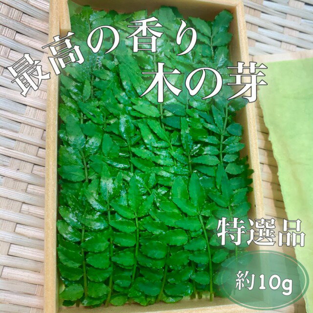 2箱限定の大特価！【旬の特選品】特上*木の芽（山椒の葉）滋賀県特産*約10g（約80枚〜100枚）*特上の香りをお料理の香りづけ・彩りに**旬の楽しみ*季節の品*お料理上手に必須*お取り寄せ*旬の食材*ギフトにも大変喜ばれます*御祝*お祝い*贈答*旬の食材のサムネイル