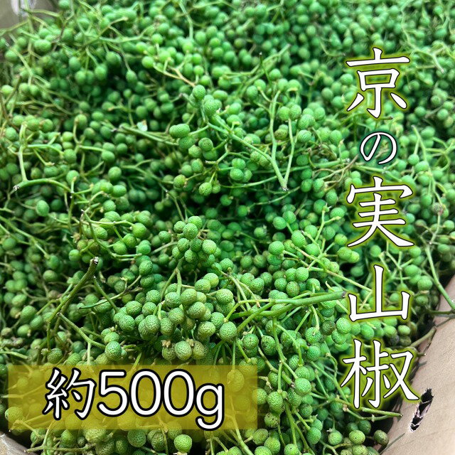 有機 菊芋チップス 100g 島根産 無添加 オーガニック キクイモ チップス 菊芋茶 菊芋パウダー をお探しの方にも nichie ニチエー