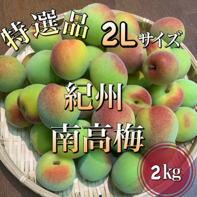 *香り高い旬のおすすめ**【特選・紀州紅南高梅】和歌山県産**秀品**　2Lサイズ　約2kg※梅干し/梅ジャム用※購入数1つ（2kg）以上は送料サイズが変更となります※*旬の食材*時期もの*うめ*お取り寄せ*生梅*梅仕事に*ウメ*特選梅のサムネイル