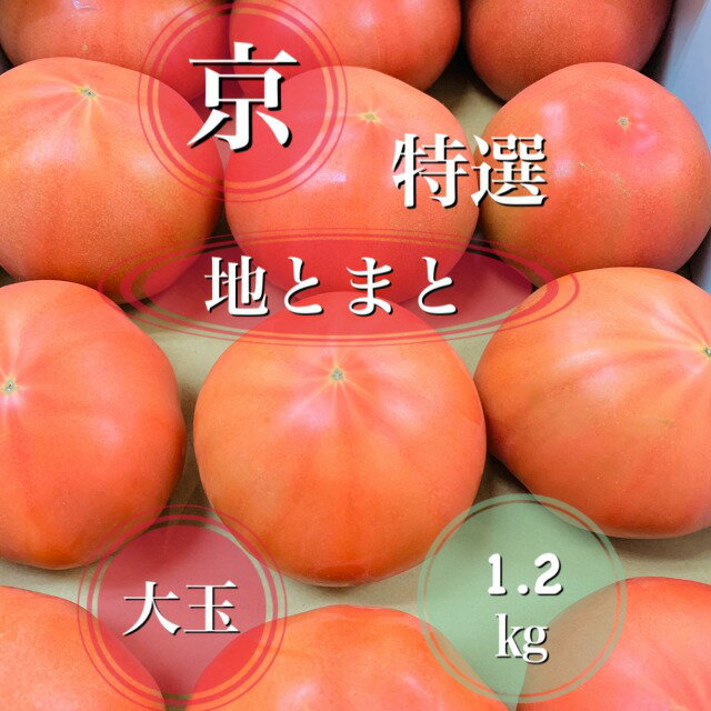 旬のおすすめ！みずみずしく甘い！京の大玉トマト**特選品**約1.2kg（約3〜5玉）*京野菜ギフトに最適*ほんまもん京野菜*京都お取り寄せ*京都トマト*旬の食材*健康管理に*お中元*御中元*とまと