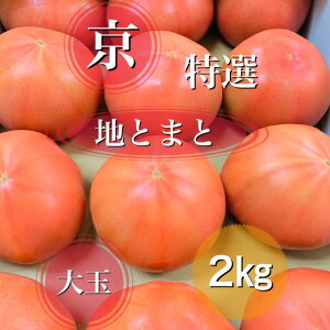 旬のおすすめ*【本場京野菜*露地物】みずみずしく甘い！京の大玉トマト　**特選品**　約2kg（5〜9玉）*京野菜ギフトに最適*ほんまもん京野菜*京都お取り寄せ*京都トマト*旬の食材*健康管理に*御中元*お中元