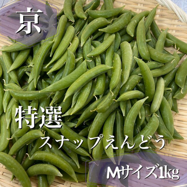 *旬のおすすめ！【本場京野菜】シャキッと甘い！京都府産*スナップエンドウ**特選品**露地物M〜Lサイズ約1kg*※京野菜ギフトにもおすすめです※京都露地物スナップえんどう*京都えんどう豆*京野菜お取り寄せ*旬の食材**