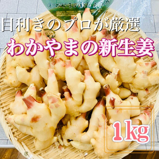 樂天商城 - 旬のおすすめ！*別格の香り【厳選*わかやまの新生姜*】和歌山県産Mサイズ*秀品約1kg※うれしいお料理レシピ付（画像4参照）*旬の食材*時期もの*新ショウガ*特産*お取り寄せ*季節の食べもの*新しょうが*健康食材*漬物にも最適