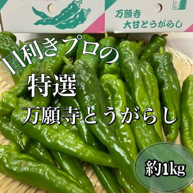 全国お取り寄せグルメ京都その他の野菜No.6