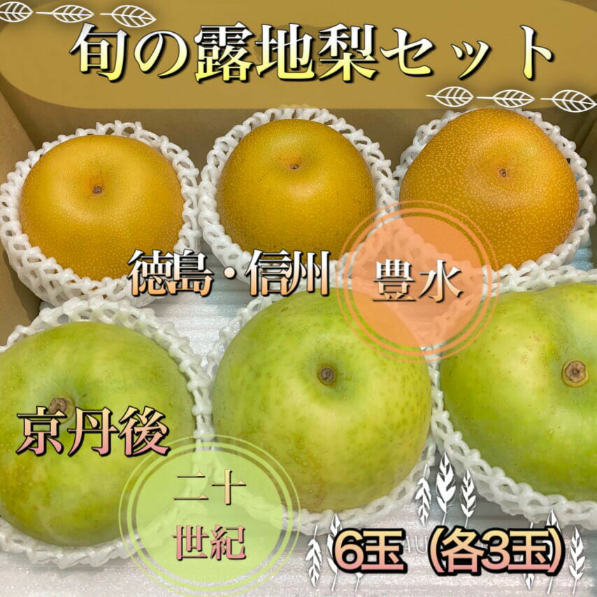 送料無料【厳選品・露地梨セット詰め合わせ】豊水+京たんご20世紀*各秀品*6玉入り（各種3玉づつ）ギフト箱+ラッピングは画像を参照ください*送料無料（一部地域除く）**ギフト*誕生日*敬老の日*お中元*新鮮詰合せ*和梨食べ比べ*お取り寄せ*旬の食材*京丹後梨