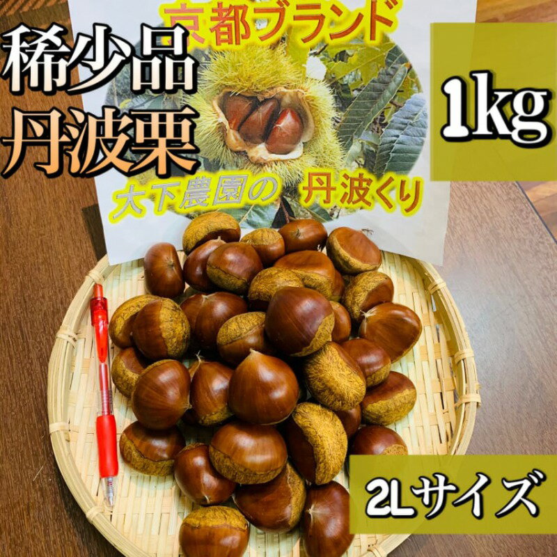 愛媛産栗4Lサイズ500g