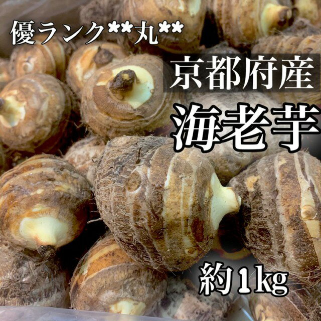 【冬季限定】京都府産 海老芋えびいも*Lサイズ *丸**1Kg(1個あたり約80〜120g） *購入数2つまで同一送料です**京都お取り寄せ*京野菜ギフトにもおすすめ*京やさい*贈答*ギフト*感謝*お歳暮*御歳暮*お正月用食材*えびいも丸*誕生日*旬の食材*伝統野菜