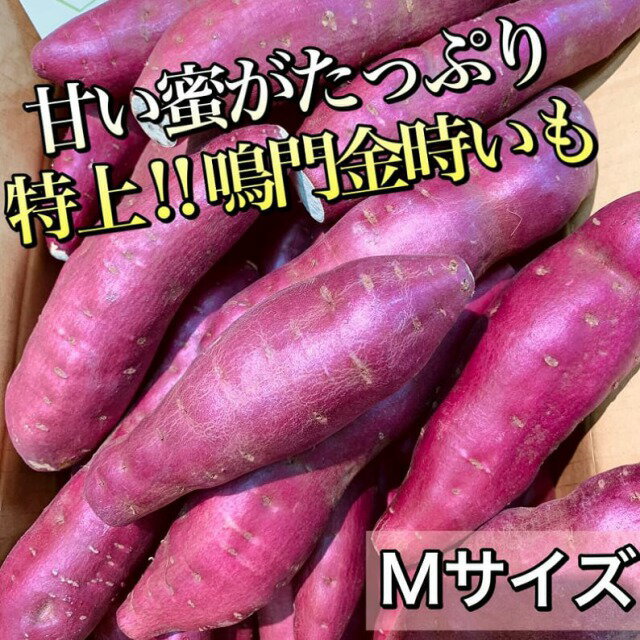 *蜜がたっぷり【徳島産】特上！鳴門金時芋 里浦“里むすめ”Mサイズ　5kg（約25〜30本）*焼き芋にも最適*さくらいや一押しの品*甘いお芋*お取り寄せ*特上品*ご当地美味しいさつまいも*なるときんとき*贈答*ギフト*感謝*お歳暮*御歳暮*お正月用*お芋好き*誕生日*旬の食材