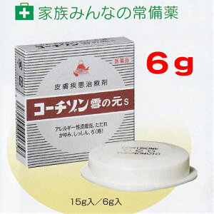 皮膚疾患治療薬 コーチゾン 雪の元S 6g 【指定第2類医薬品】アレルギー性皮膚炎 かゆみ しっしん 痔 やけど 虫刺され 肛門のかゆみ