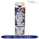 トキワブルーベリービネガー 1000mL マキベリー ビタミン ワインビネガー ラズベリー酢 ローズヒップ酢 常盤薬品工業