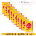 【第2類医薬品】和漢生薬製剤 小粒赤玉はら薬 2包入 10袋セット 富山薬品 富山 配置薬 置き薬 送料無料