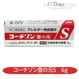 【指定第2類医薬品】コーチゾン雪の元S 6g アレルギー性皮膚炎 しっしん かゆみ あせも 痔 チューブタイプ