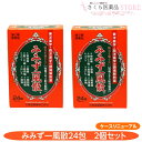【指定第2類医薬品】みみず一風散 アセトアミノフェン地竜エキス 24包 2個セット 天真堂製薬 奈良 みみず 持続 ケースリニューアル
