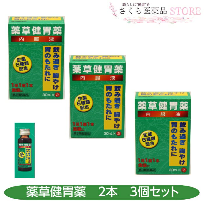 【第3類医薬品】薬草健胃薬内服液 2本入 3本セット 飲みすぎ 胸やけ 胃のもたれ 薬草 田村薬品工業 二日酔い 送料無料
