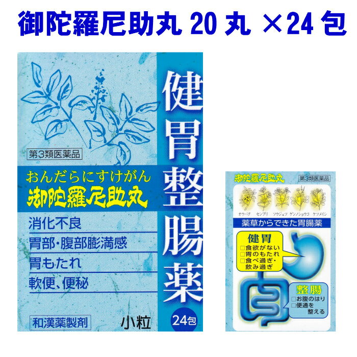おんだらにすけがん 御陀羅尼丸 20粒×24包 消化不良 胃部 腹部膨満感 胃もたれ 軟便 便秘 小粒【第3類医薬品】