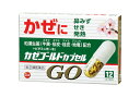 カゼゴールドカプセルGO 地竜 牛黄 桜皮 桂皮生薬配合【指定第2類医薬品】 12カプセル 第一薬品工業 富山 配置薬 置き薬 送料無料