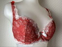 チェスニービューティーウェイクアップブラジャー デコルテ盛り 育乳 プッシュアップ シカゴプレステージシリーズ(4)