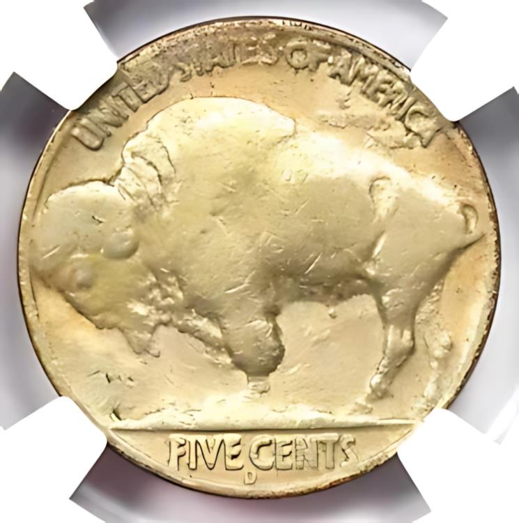 1937-D 3 å Хåե ˥å 5C ꡼å  - ǧ NGC VF ܺ