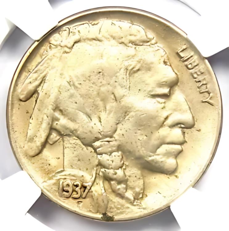 1937-D 3 å Хåե ˥å 5C ꡼å  - ǧ NGC AU ܺ
