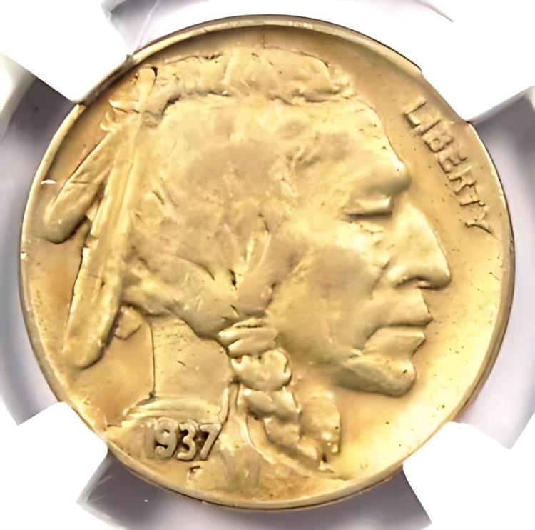 1937-D 3 å Хåե ˥å 5C ꡼å  - ǧ NGC AU ܺ