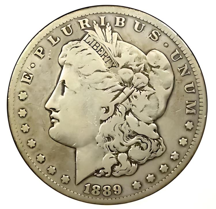 1889-CC ⡼ С 顼 1 ɥ  ƥ  - ANACS F12 ܺ - 