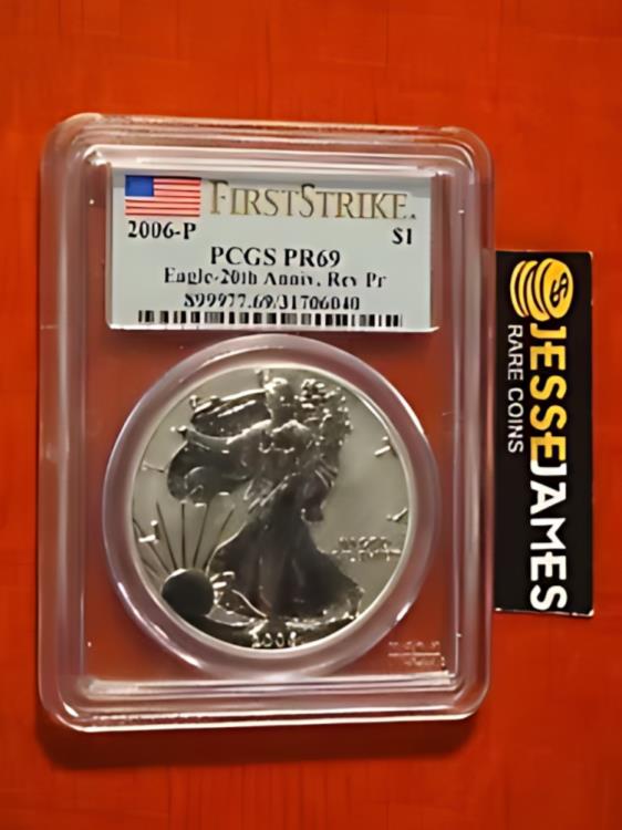 2006 P リバース プルーフ シルバー 