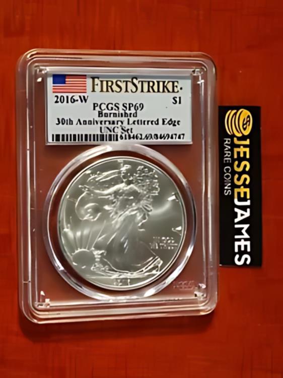 2016 W バーニッシュシルバー イーグ