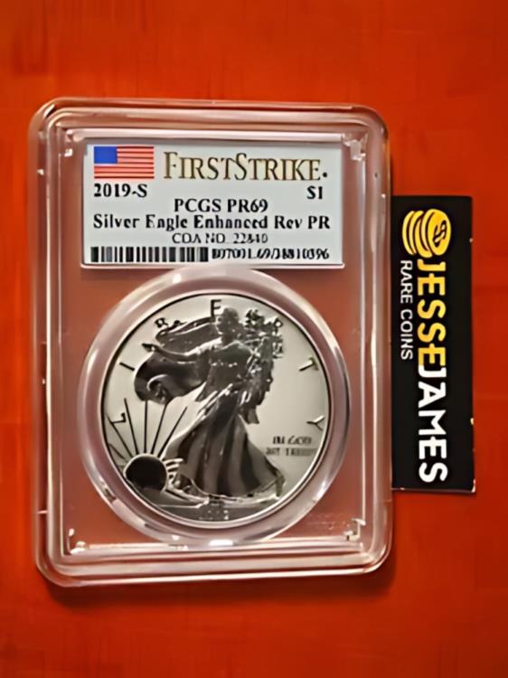 2019 S エンハンスド リバース プルー