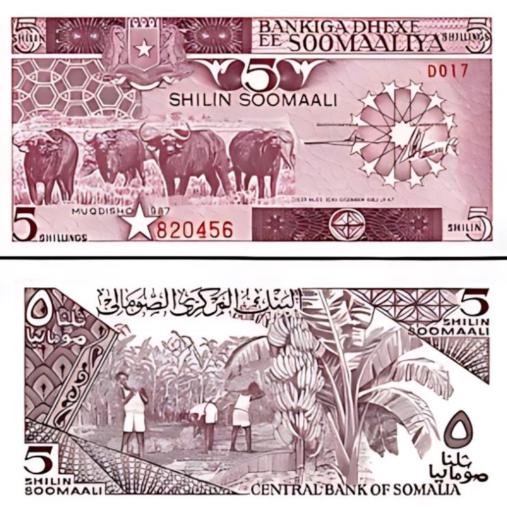 ソマリア 5 シリング 1987、オーストラリア、P-31c、バッファロー、バナナ収穫