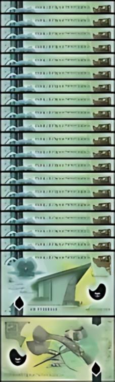 パプアニューギニア 2 キナ 2017、UNC、20 個ロット、ポリマー、P-28(3)