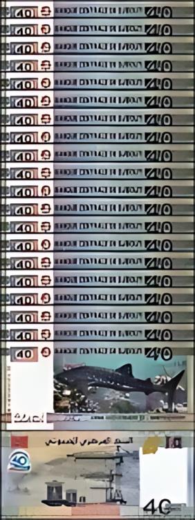֥ 40 ե 2017UNC20 ĥåȡ40 ǯǰࡢ㡼P-46