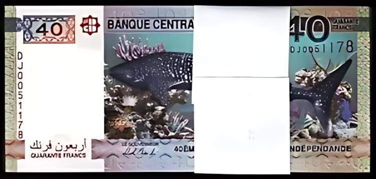 ֥ 40 ե 2017UNC1/2 Хɥ롢ѥå 50 ġ40 ܤΥ󡢥ࡢ㡼P-46