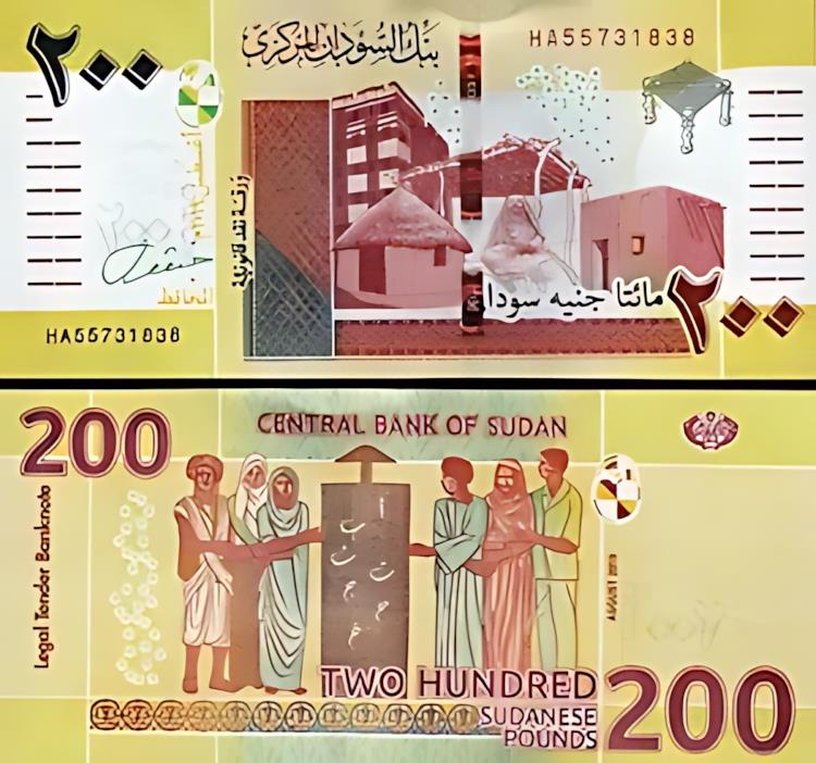  200 ݥ 2019 (2020)UNC-P-ǥ