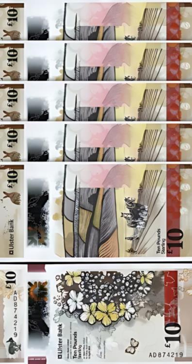 ̥ 10 ݥ 2018UNC5 ĥåȡ륹??ԡݥޡP-344