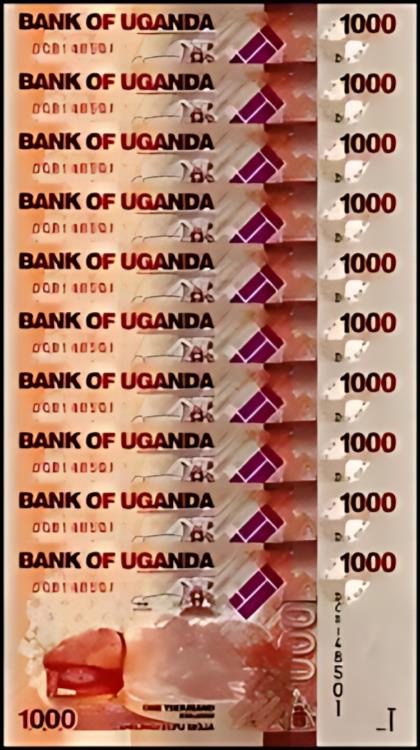  1000 󥰡2017P-49eUNC X 10 PCS