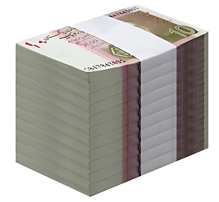 パキスタン 10 ルピー、2022、P-45q.1、UNC X 1000 PCS レンガ