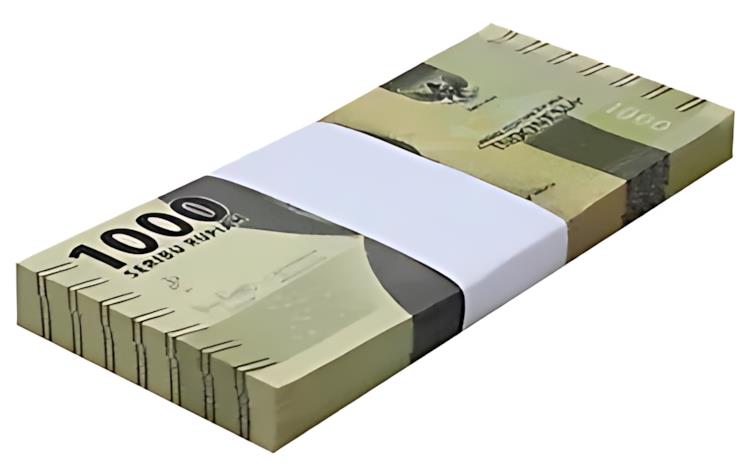 ɥͥ 1000 ԥ2021P-154eUNC X 100 ĥХɥ ѥå