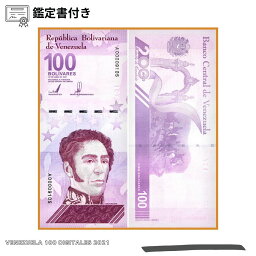 100枚 ベネズエラ 2021年 発行 デジタル通貨 1億ボリバル ベネズエラ ボリバル 紙幣 VENEZUELA 100 DIGITALES 10006079