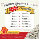 【3万円相当のおまけ付】 ベトナム 500,000 ピン札 新札 鑑定保証書付き 10枚 未使用 ベトナムドン ベトナム 500,000 ドン 50万ドン Vietnam 500,000 Dong ハイパーインフレ VND コレクション 高騰 ★P/B-7 【3,000円相当 × ご購入枚数】 3