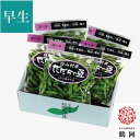 白山村産 だだちゃ豆 300g×5袋 <早生豆> 8月上旬~中旬お届け ( 発祥の地のブランド 枝豆 清川屋のダダチャ豆 白山だだちゃ豆 茶豆 )