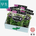 白山村産 だだちゃ豆 300g×6袋 <早生豆> 8月上旬~中旬お届け ( 発祥の地のブランド 枝豆 清川屋のダダチャ豆 白山だだちゃ豆 茶豆 )