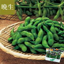 尾浦 だだちゃ豆 300g×3袋 9月上旬〜中旬お届け ( 大ぶりで強い甘み 「なごり」の枝豆 おうら 晩生 晩生だだちゃ豆 清川屋のダダチャ豆 茶豆 枝豆 )