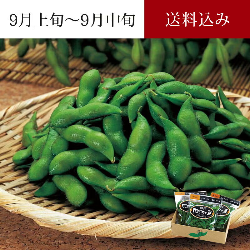 尾浦 だだちゃ豆 300g×3袋 9月上旬～9月中旬お届け ( 大ぶりで強い甘み 「なごり」の枝豆 おうら 晩生 晩生だだちゃ豆 清川屋のダダチャ豆 茶豆 枝豆 )