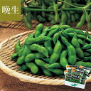 尾浦 だだちゃ豆 300g×6袋 9月上旬〜中旬お届け ( 大ぶりで強い甘み 「なごり」の枝豆 おうら 晩生 晩生だだちゃ豆 清川屋のダダチャ豆 茶豆 枝豆 )